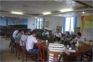 市人社局精准发力，以“百日攻坚”助推创文工作走深走实