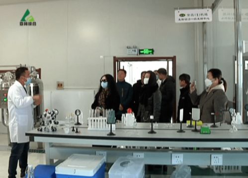 强强联手谋发展，益生菌养殖产业迎来新机遇——龙江食品集团等企业赴亚布力林业局考察