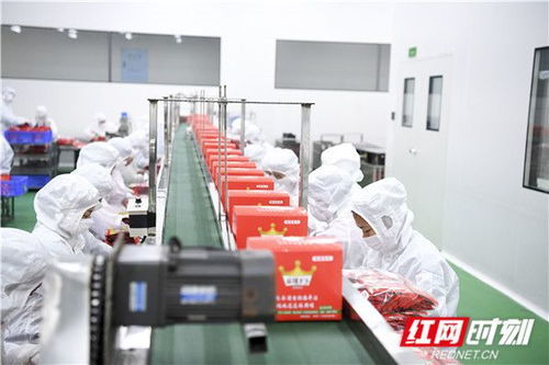 从麻辣王子的创始人故事到渡书人自习室 一段关于梦想与专注的旅程